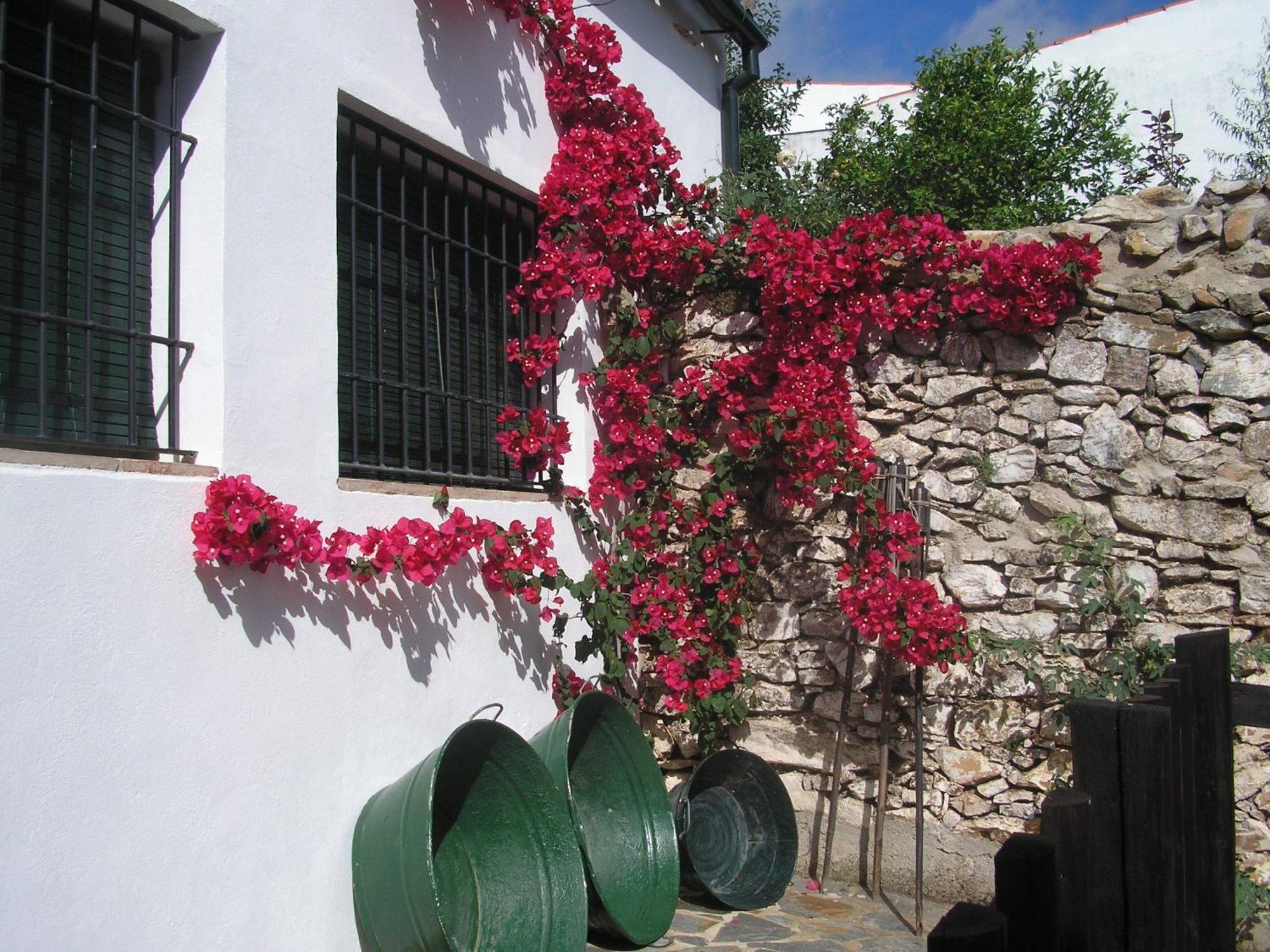 Casa Rural y Restaurante Casa Adriano Guest House Alanis Bagian luar foto